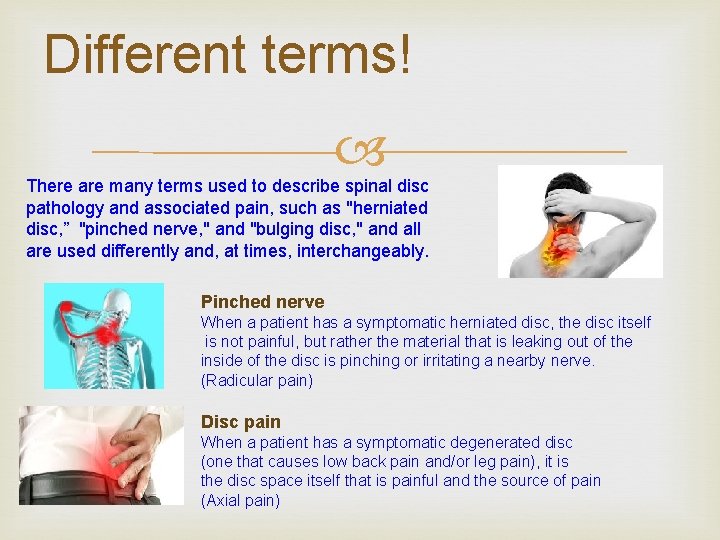 Different terms! There are many terms used to describe spinal disc pathology and associated