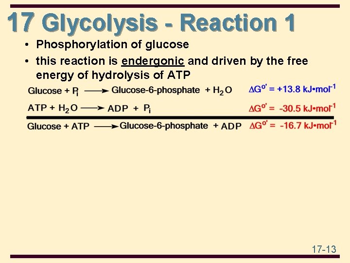 17 Glycolysis - Reaction 1 • Phosphorylation of glucose • this reaction is endergonic