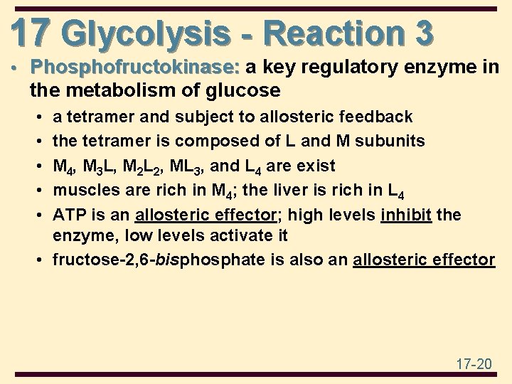 17 Glycolysis - Reaction 3 • Phosphofructokinase: a key regulatory enzyme in the metabolism