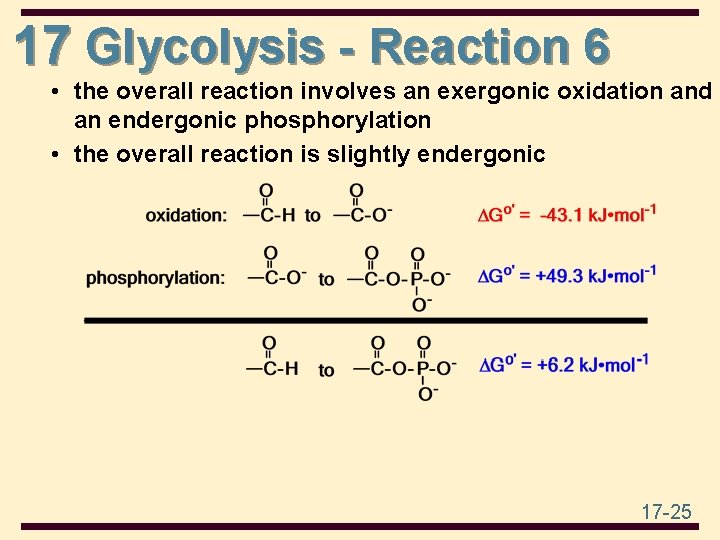 17 Glycolysis - Reaction 6 • the overall reaction involves an exergonic oxidation and