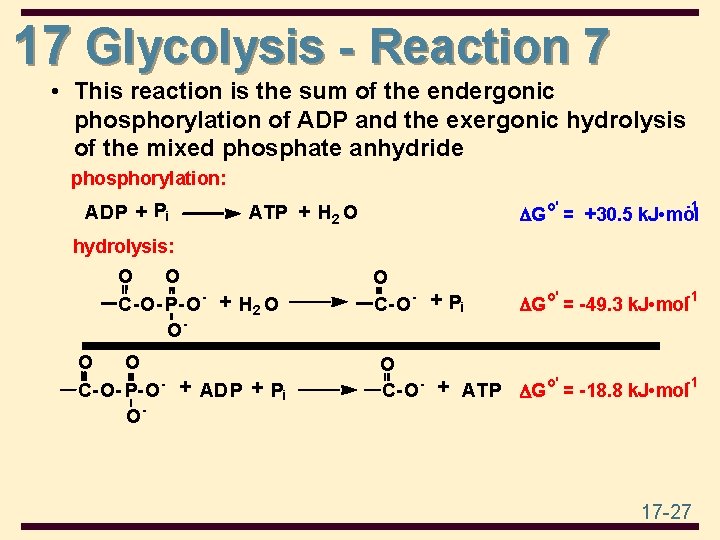 17 Glycolysis - Reaction 7 • This reaction is the sum of the endergonic