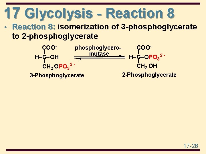 17 Glycolysis - Reaction 8 • Reaction 8: isomerization of 3 -phosphoglycerate to 2