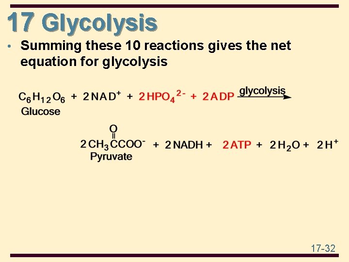 17 Glycolysis • Summing these 10 reactions gives the net equation for glycolysis 17