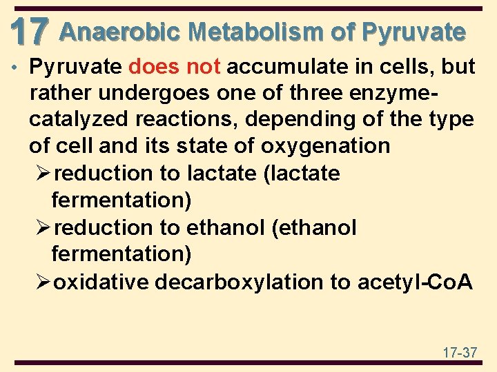 17 Anaerobic Metabolism of Pyruvate • Pyruvate does not accumulate in cells, but rather