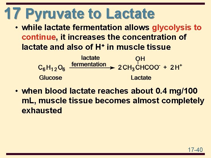 17 Pyruvate to Lactate • while lactate fermentation allows glycolysis to continue, it increases