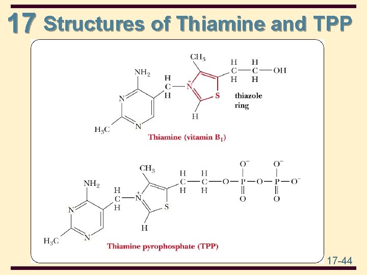 17 Structures of Thiamine and TPP 17 -44 
