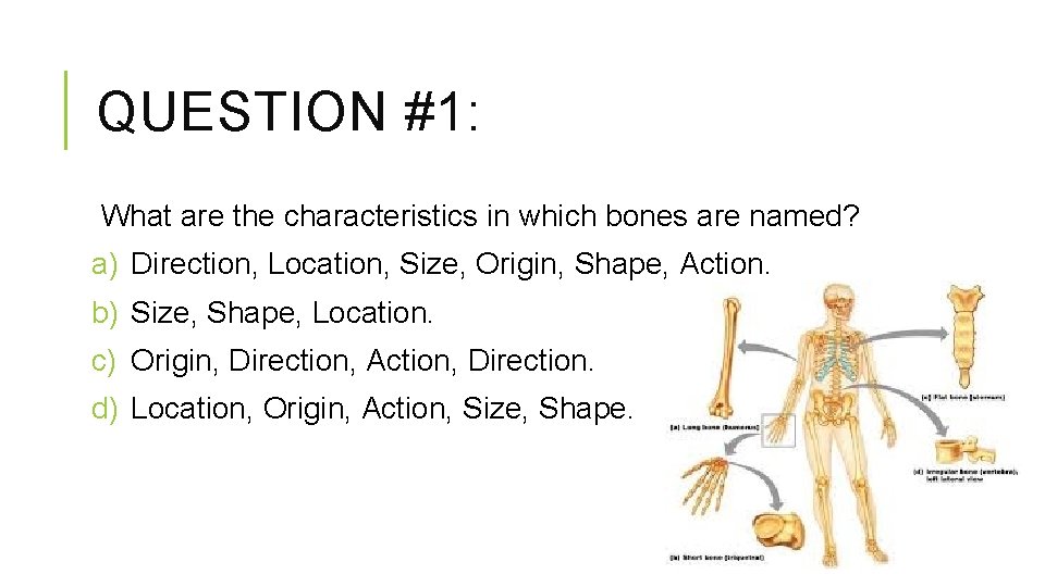 QUESTION #1: What are the characteristics in which bones are named? a) Direction, Location,