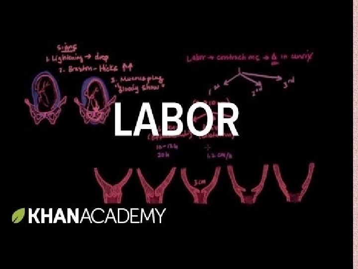 Elsevier items and derived items © 2015, 2011, 2007, 2006 by Saunders, an imprint