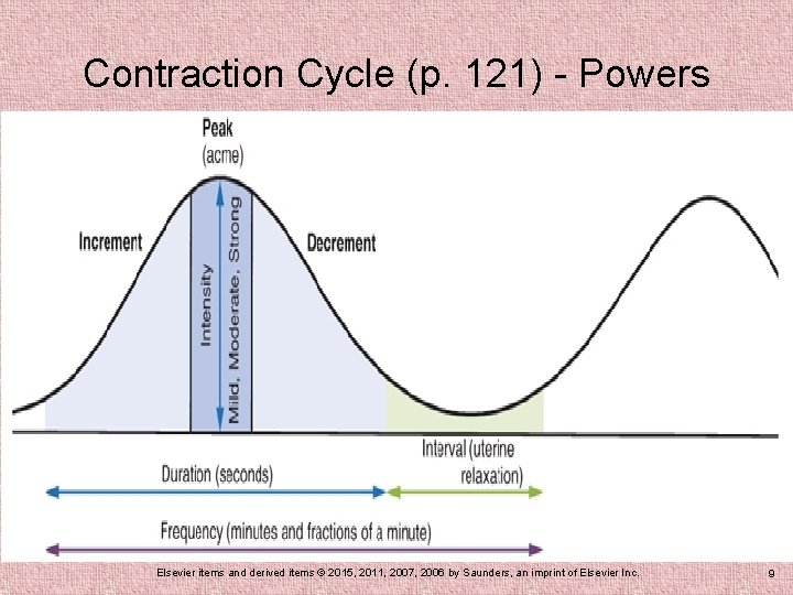 Contraction Cycle (p. 121) - Powers Elsevier items and derived items © 2015, 2011,