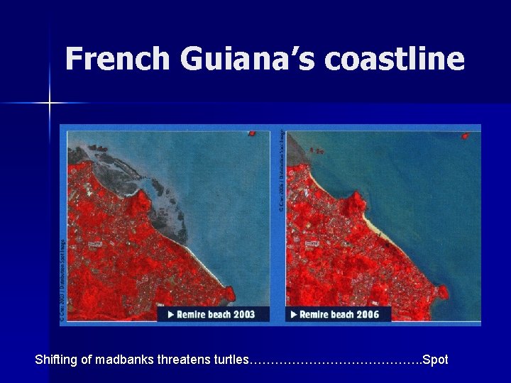 French Guiana’s coastline Shifting of madbanks threatens turtles…………………. . Spot 