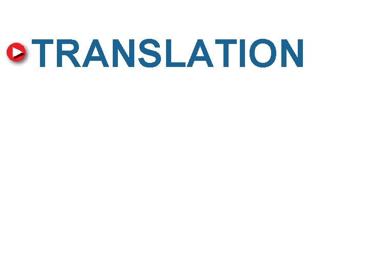 TRANSLATION 