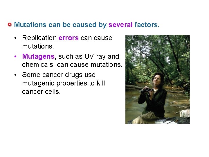 Mutations can be caused by several factors. • Replication errors can cause mutations. •