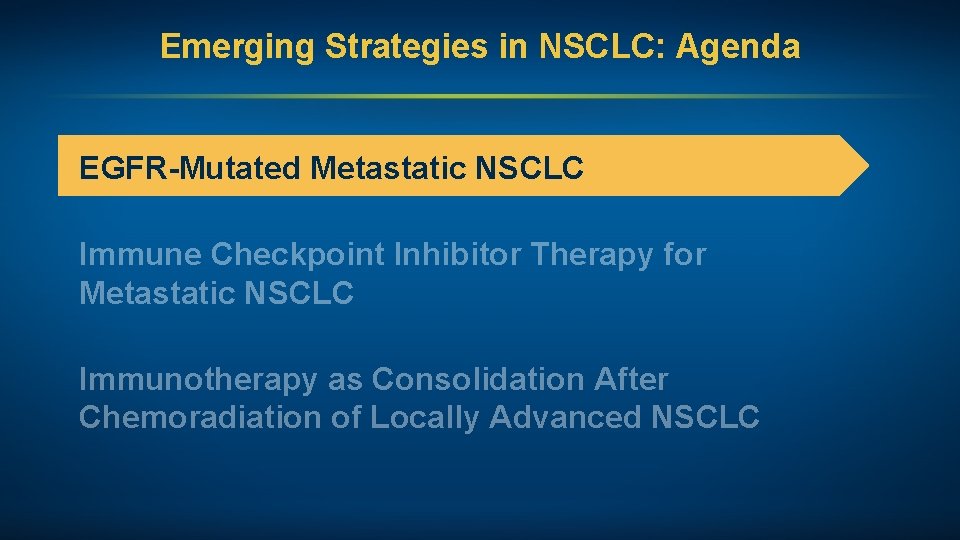 Emerging Strategies in NSCLC: Agenda EGFR-Mutated Metastatic NSCLC Immune Checkpoint Inhibitor Therapy for Metastatic