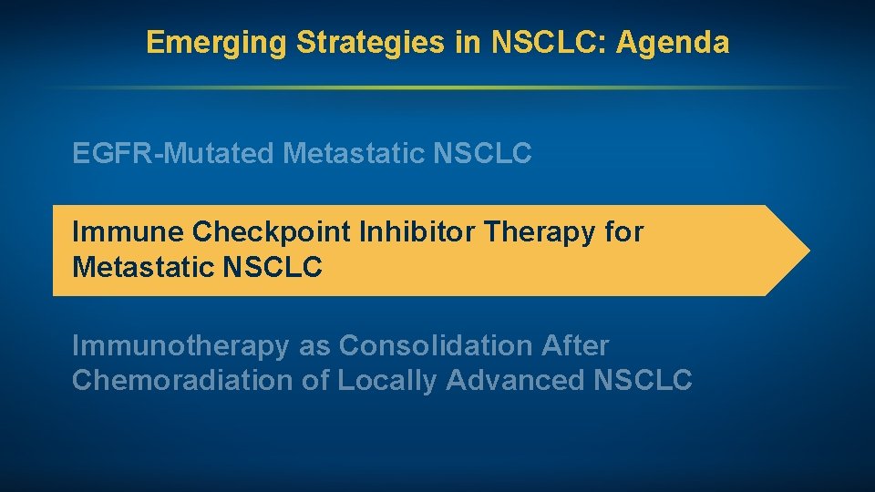 Emerging Strategies in NSCLC: Agenda EGFR-Mutated Metastatic NSCLC Immune Checkpoint Inhibitor Therapy for Metastatic