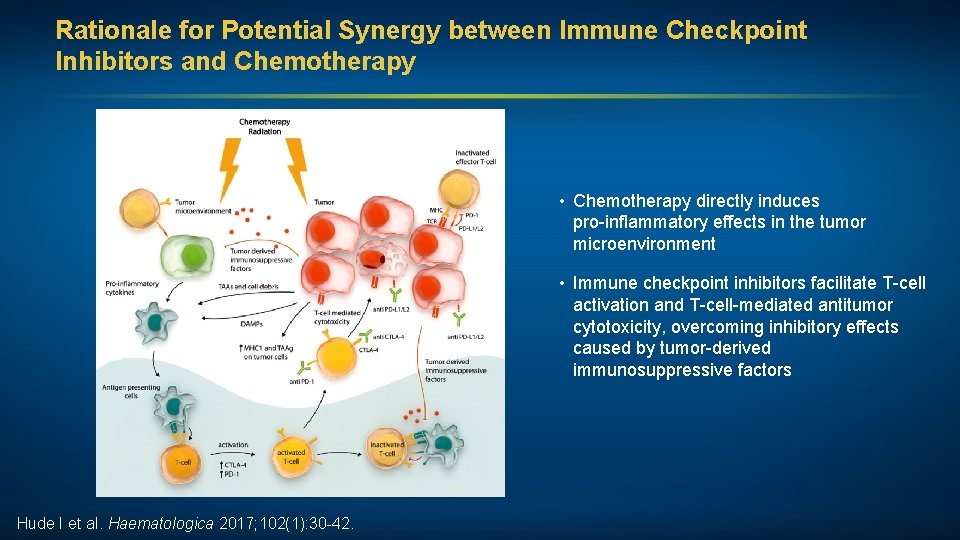 Rationale for Potential Synergy between Immune Checkpoint Inhibitors and Chemotherapy • Chemotherapy directly induces