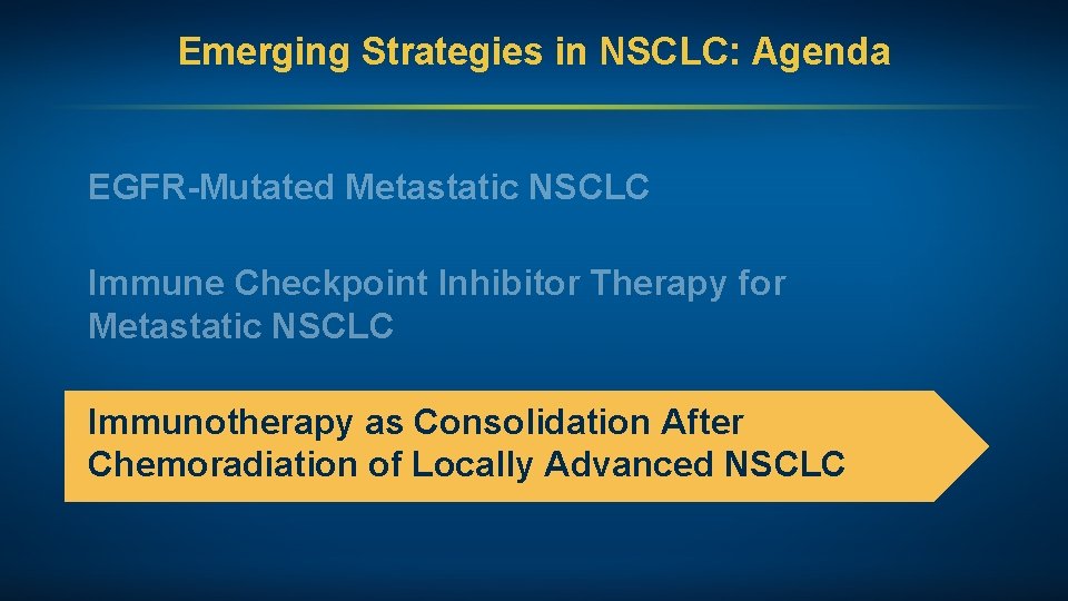 Emerging Strategies in NSCLC: Agenda EGFR-Mutated Metastatic NSCLC Immune Checkpoint Inhibitor Therapy for Metastatic