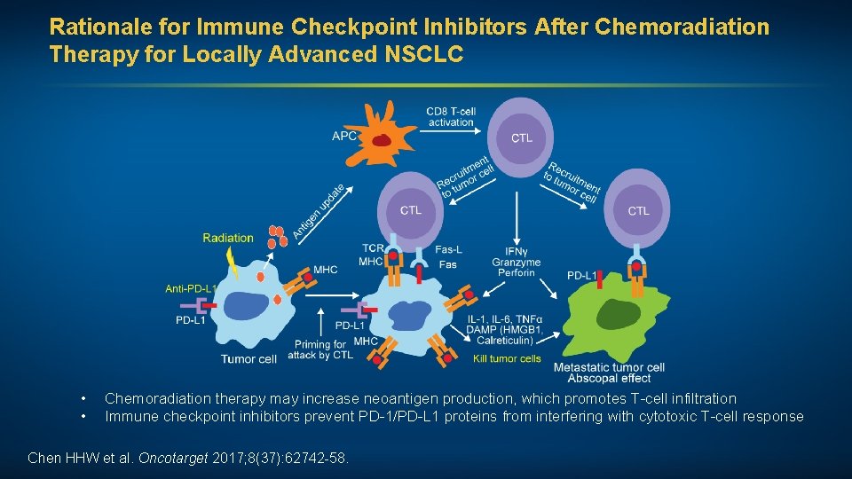 Rationale for Immune Checkpoint Inhibitors After Chemoradiation Therapy for Locally Advanced NSCLC • •