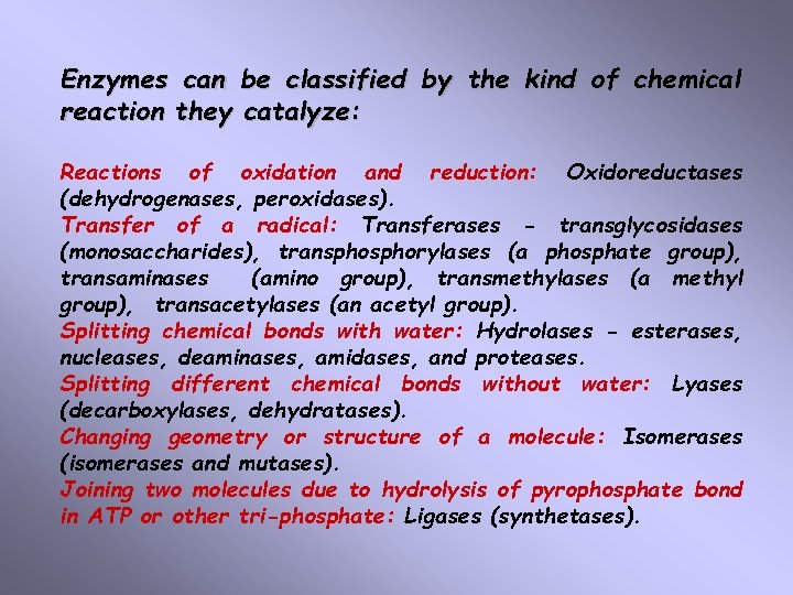 Enzymes can be classified by the kind of chemical reaction they catalyze: Reactions of