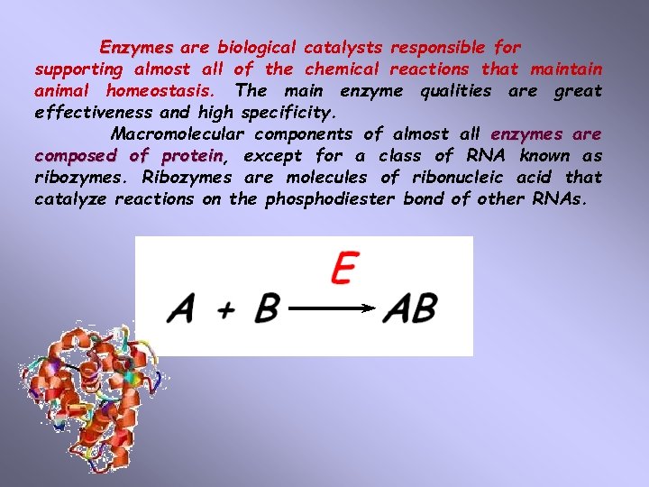 Enzymes are biological catalysts responsible for supporting almost all of the chemical reactions that