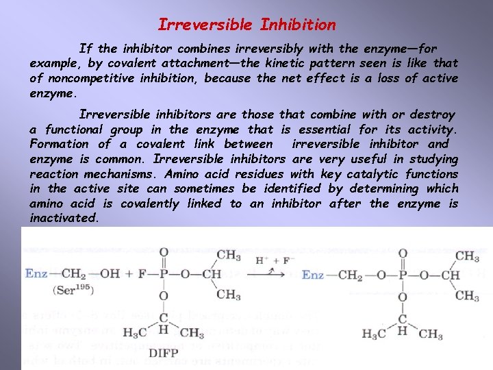 Irreversible Inhibition If the inhibitor combines irreversibly with the enzyme—for example, by covalent attachment—the