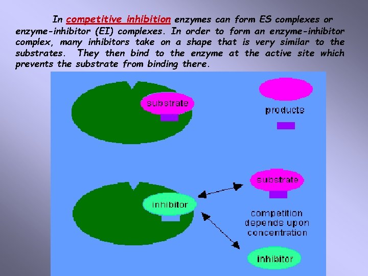 In competitive inhibition enzymes can form ES complexes or enzyme-inhibitor (EI) complexes. In order
