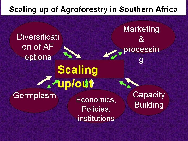 Scaling up of Agroforestry in Southern Africa Diversificati on of AF options Scaling up/out