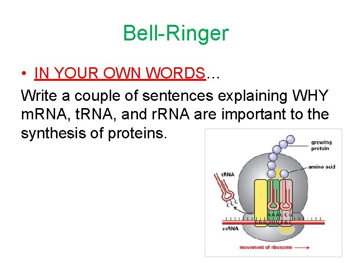 Bell-Ringer • IN YOUR OWN WORDS… Write a couple of sentences explaining WHY m.