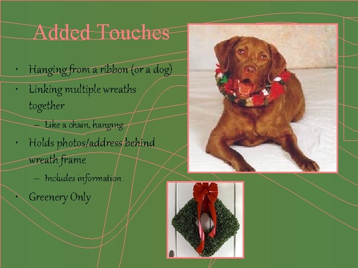 Added Touches • Hanging from a ribbon (or a dog) • Linking multiple wreaths