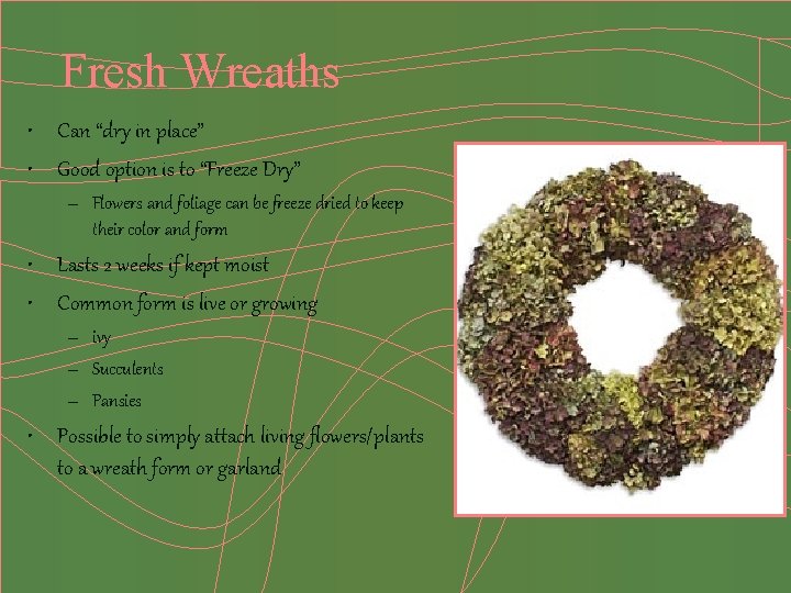 Fresh Wreaths • Can “dry in place” • Good option is to “Freeze Dry”