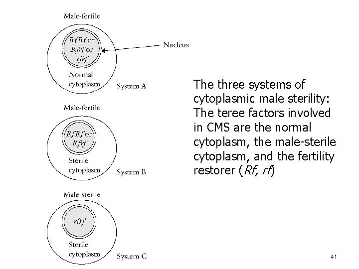 The three systems of cytoplasmic male sterility: The teree factors involved in CMS are