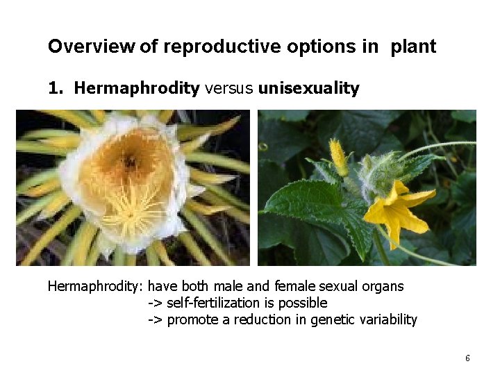 Overview of reproductive options in plant 1. Hermaphrodity versus unisexuality Hermaphrodity: have both male