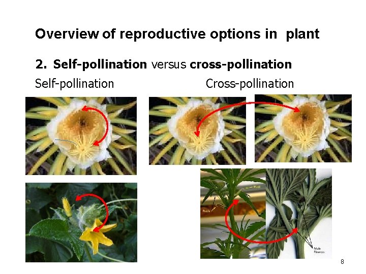 Overview of reproductive options in plant 2. Self-pollination versus cross-pollination Self-pollination Cross-pollination 8 