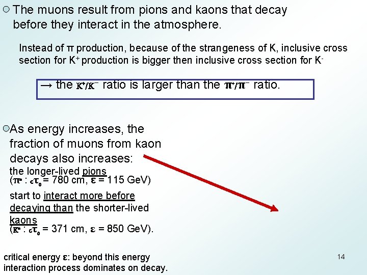 The muons result from pions and kaons that decay before they interact in the