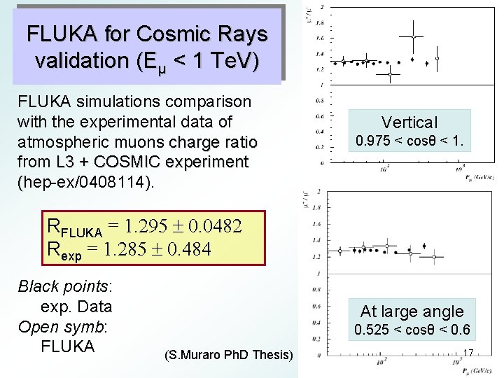 FLUKA for Cosmic Rays validation (Eμ < 1 Te. V) FLUKA simulations comparison with