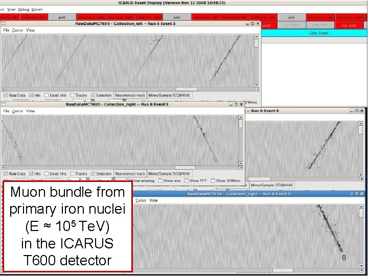 Muon bundle from primary iron nuclei (E ≈ 105 Te. V) in the ICARUS