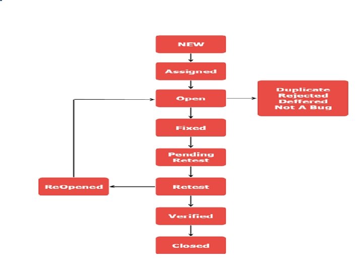 Defect/Bug Life Cycle 