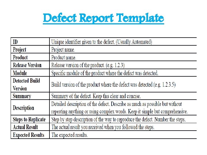 Defect Report Template 