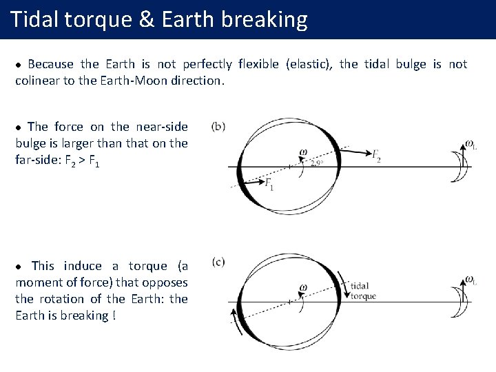 Tidal torque & Earth breaking Because the Earth is not perfectly flexible (elastic), the