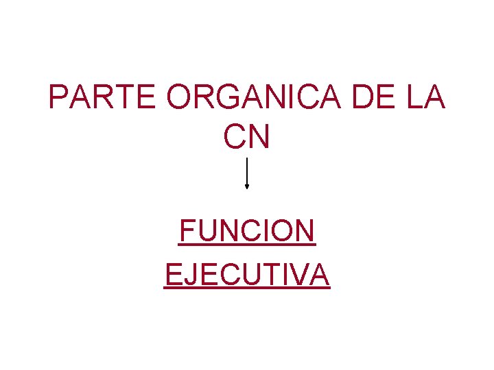 PARTE ORGANICA DE LA CN FUNCION EJECUTIVA 