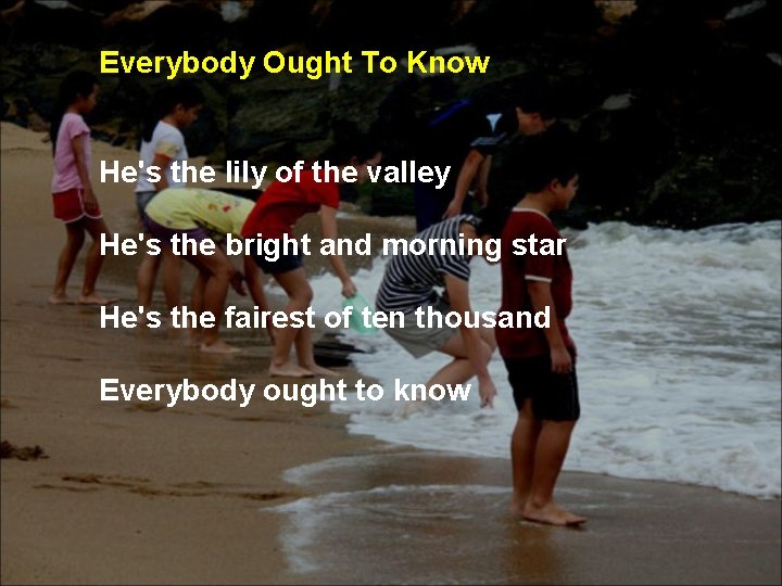 Everybody Ought To Know He's the lily of the valley He's the bright and Everybody Ought To Know He's the lily of the valley He's the bright and