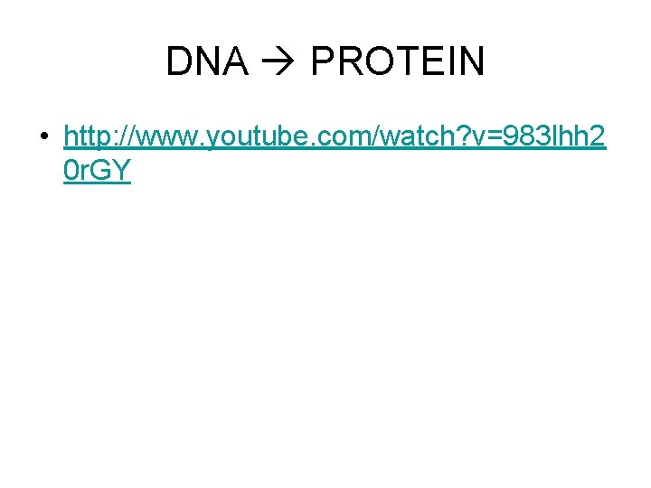 DNA PROTEIN • http: //www. youtube. com/watch? v=983 lhh 2 0 r. GY 
