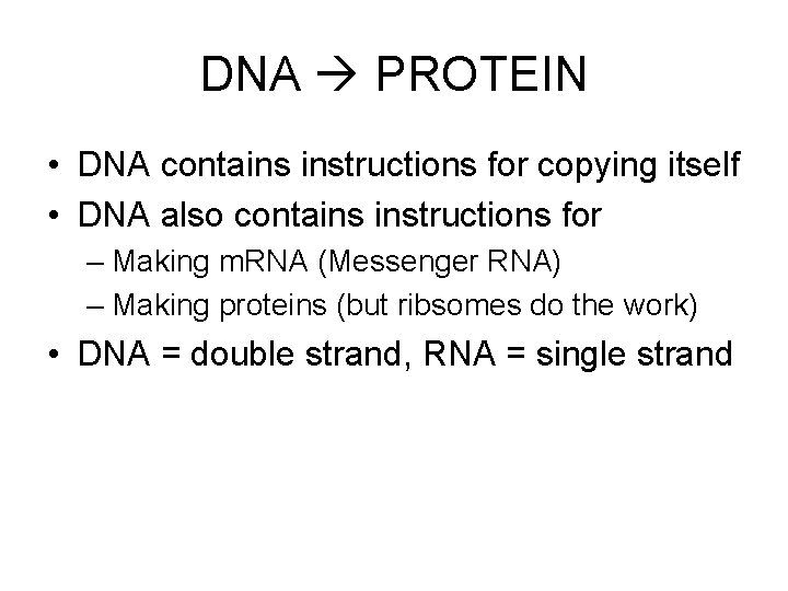 DNA PROTEIN • DNA contains instructions for copying itself • DNA also contains instructions