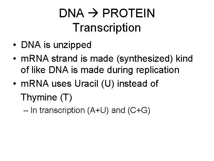 DNA PROTEIN Transcription • DNA is unzipped • m. RNA strand is made (synthesized)