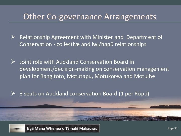 Other Co-governance Arrangements Ø Relationship Agreement with Minister and Department of Conservation - collective