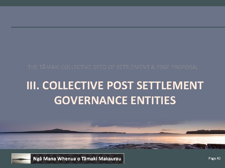 THE TĀMAKI COLLECTIVE DEED OF SETTLEMENT & PSGE PROPOSAL III. COLLECTIVE POST SETTLEMENT GOVERNANCE