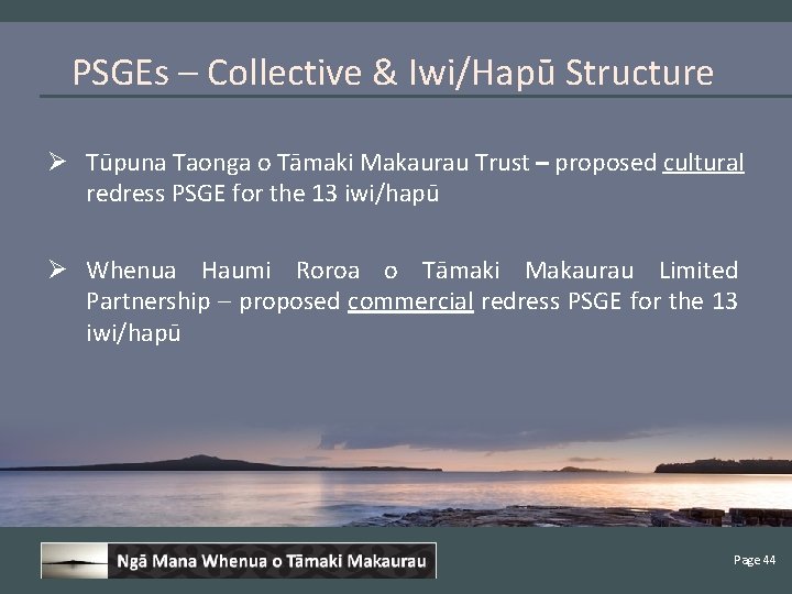 PSGEs – Collective & Iwi/Hapū Structure Ø Tūpuna Taonga o Tāmaki Makaurau Trust –