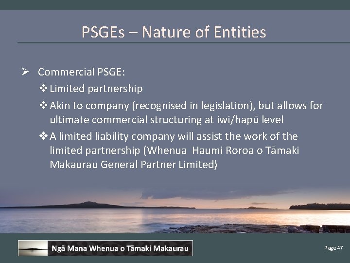 PSGEs – Nature of Entities Ø Commercial PSGE: v. Limited partnership v. Akin to