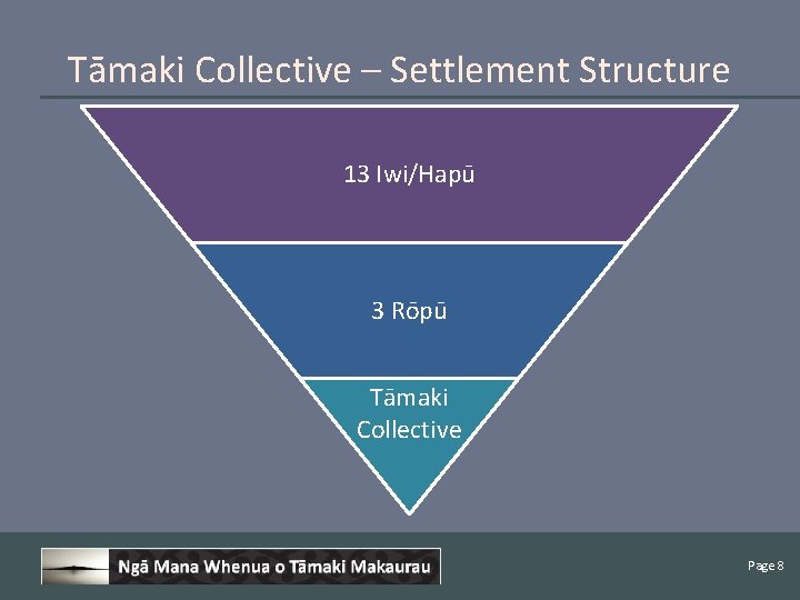 Tāmaki Collective – Settlement Structure 13 Iwi/Hapū 3 Rōpū Tāmaki Collective Page 8 