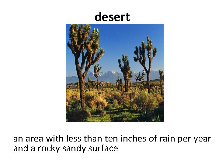 desert an area with less than ten inches of rain per year and a