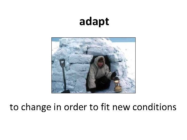 adapt to change in order to fit new conditions 